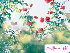 优美又有哲理的经典说说语录 英文翻译的句子