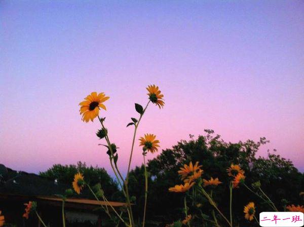 超励志的正能量说说 一些关于人生和现实的感悟2