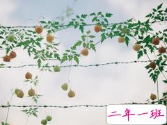 文字控喜欢的简单个性说说 真正在乎你的人是不会被别人抢走的