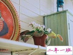 关于人生感悟正能量心灵鸡汤说说超励志的那种