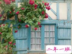 美到窒息的文艺唯美说说 你是一树一树的花开是燕在梁间呢喃