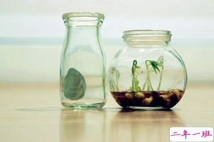 简单精辟关于现实的有道理的句子 在劫难逃索性不逃2