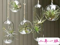 简单精辟关于现实的有道理的句子 在劫难逃索性不逃