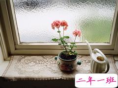 关于现实和人生有些残酷现实但却很有道理的哲理说说