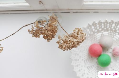 超励志的正能量心灵鸡汤说说 累就对了舒服是留给死人的1