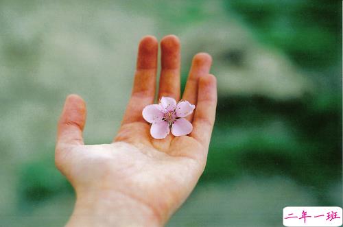 关于人生的很有哲理的句子 何必让那微小的尘埃淹没我匆促的人生2