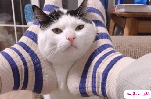 儿童节要礼物撒娇卖萌的话 2018儿童节要礼物的可爱句子1