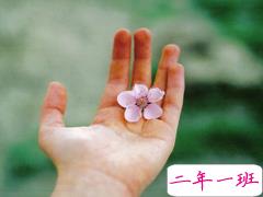 关于人生的很有哲理的句子 何必让那微小的尘埃淹没我匆促的人生