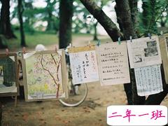 生活中充满诗意的唯美说说 让我在暮夏的晚风中温柔地想念