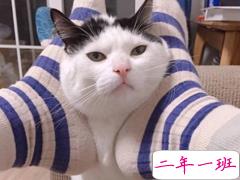 儿童节要礼物撒娇卖萌的话 2018儿童节要礼物的可爱句子