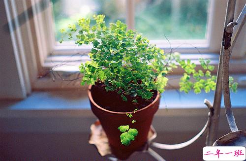 关于生活的有哲理的唯美说说 总有些人有些爱是生命的阻滞一生也无法翻越2