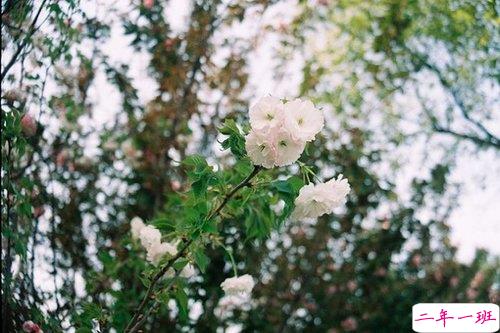 人生哲理有道理的说说 幸福就是寻常的日子依旧寻常的人也依旧1