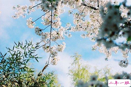 人生哲理有道理的说说 幸福就是寻常的日子依旧寻常的人也依旧2