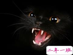 别把自己想的太伟大，没了你，地球照样转