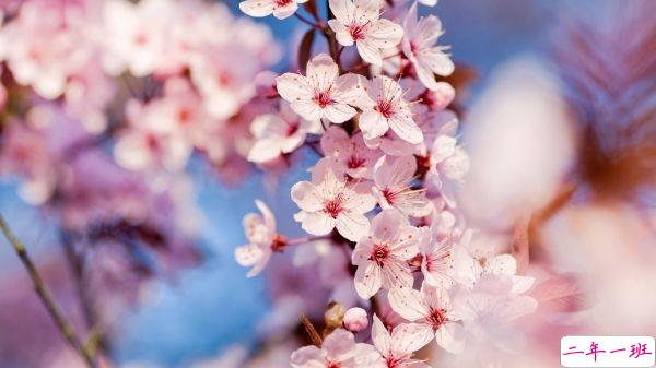 个性说说短语一句话：你是我独享的遗憾和渴望2