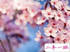 个性说说短语一句话:你是我独享的遗憾和渴望