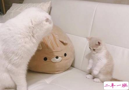 2018微信朋友圈最火的说说 想要一个honey和很多很多money3