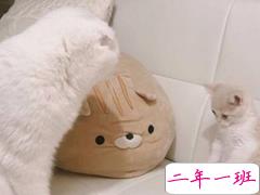 2018微信朋友圈最火的说说 想要一个honey和很多很多money