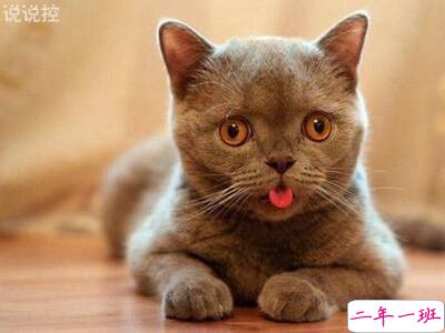 微信霸气说说大全