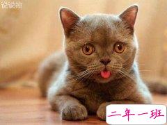 微信霸气说说大全：如果付出不是为了得到回报，那我付出个毛线啊