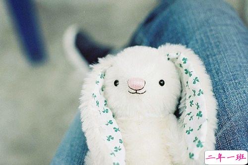 唯美的让人窒息的说说 宇宙众生哀苦中总还是有一星半点的可爱的2