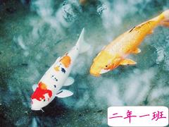 经典哲理励志说说 只要内心不乱外界就很难改变你什么