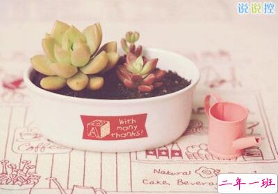 个性语录超拽霸气，一句话个性语录