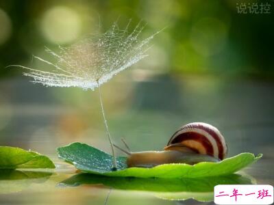 最火的说说句子，文字控很火的说说