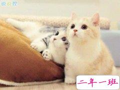 微信个性说说心情，微信个性说说2018