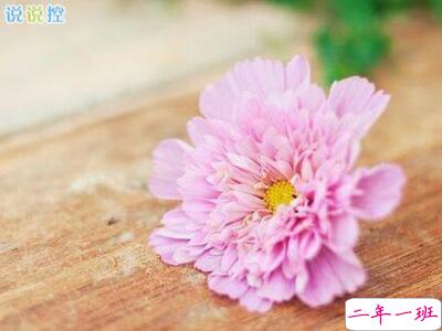 朋友圈个性说说，必点赞的朋友圈说说