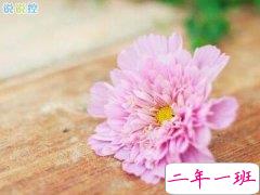 朋友圈个性说说，必点赞的朋友圈说说