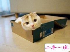 QQ空间热门说说，最热门的说说