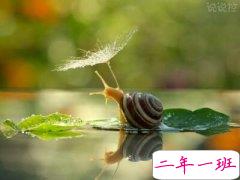 QQ个性说说：后来我对谁都温柔，热情都燃成了不正经