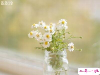 唯美个性说说，简短唯美个性说说