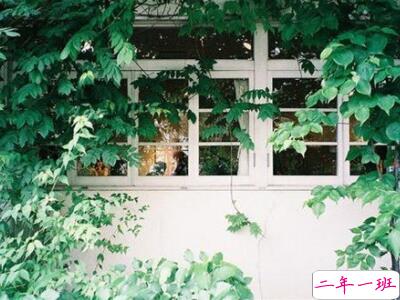 哲理英文说说带翻译，人生哲理的英文句子