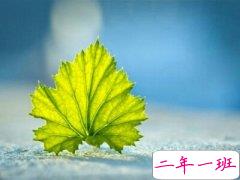 霸气有个性的说说:做不到让所有人满意,也不怕全世界对我开枪