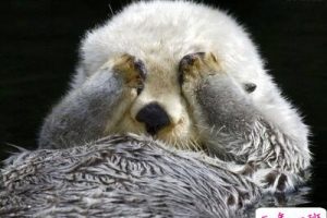 辣眼睛的说说，不忍直视的说说