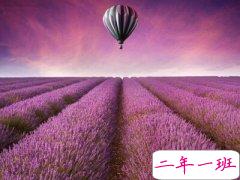 经典个性心情短语:你有抛弃我的权利,我有让你后悔的实力