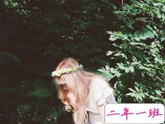 经典电影台词那些简单却又触动我们内心的句子 斯人若彩虹遇上方知有