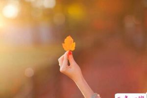 霸道说说有个性：不为自己的梦想努力，那就只能为别人的梦想打工