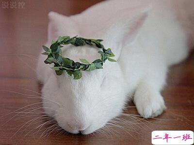 个性说说长一点的，超长个性说说大全