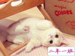 QQ个性说说:我可以笑着给你讲道理,也可以翻脸告诉你什么叫规矩