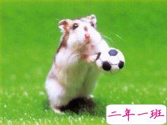 QQ空间个性说说：不好意思，我手机只剩98%的电了，先不说了