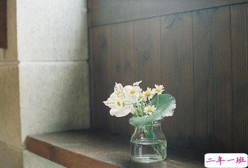 把期望降低，把依赖变少，你会过得很好2