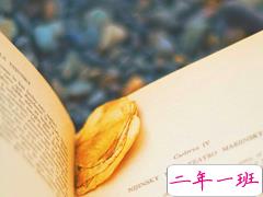 一段很现实的话说说精辟：年龄越大，越学会了顺其自然