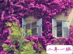 文艺好听的唯美说说：回忆是一座桥，却是通向寂寞的牢