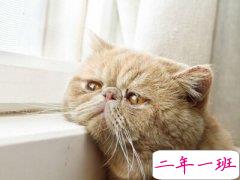 个性QQ说说大全：我可以好脾气，但凭什么要我惯着你