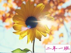 值得收藏的50条经典句子 总会有你喜欢的一句话