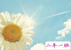 即将中考的说说，关于中考的说说大全