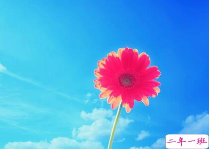 2016英文说说，微信英文说说大全